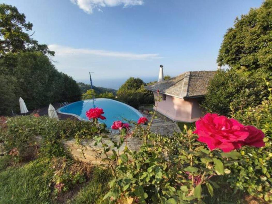 Villa Tsagkarada Country Estate With Pool Exterior foto